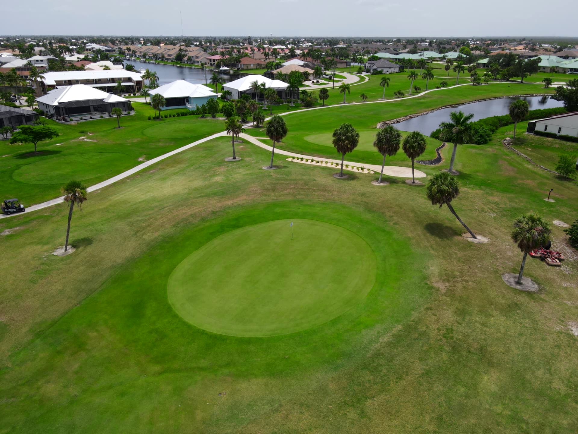 Broad putting green surrounded by palms and open fairway