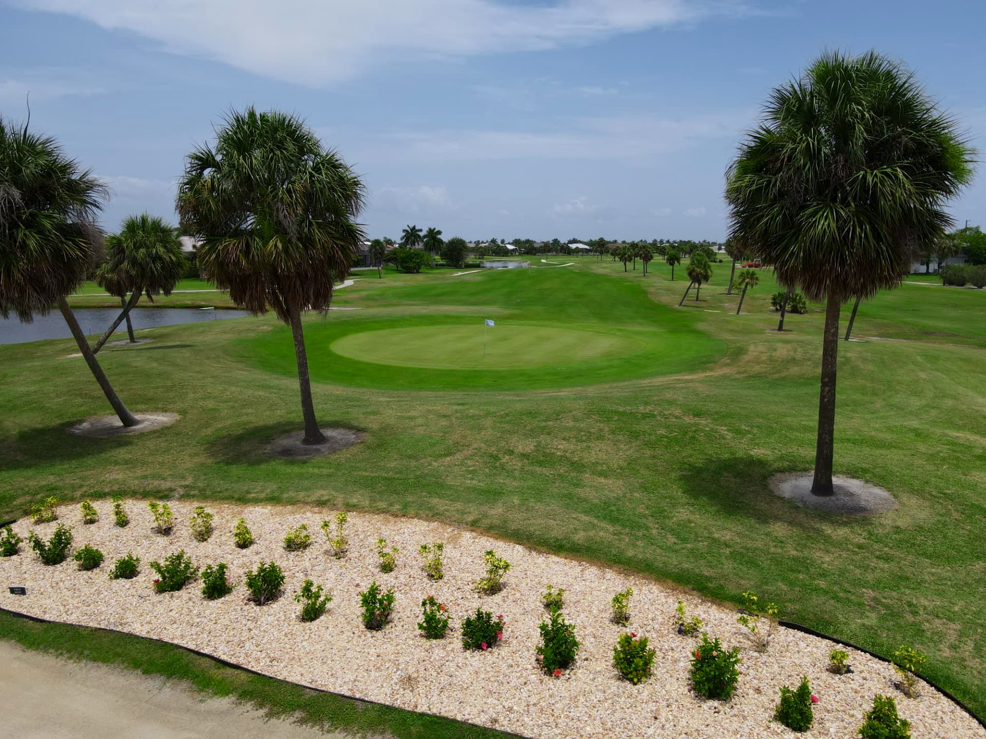 Palm-lined approach to a manicured putting green